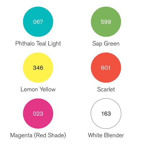 PIGMENT MARKER SET of 6 (Vibrant Tones)