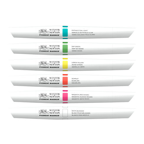 PIGMENT MARKER SET of 6 (Vibrant Tones)