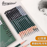Giorgione Professional Drawing Pencil Set ,Sketch Pencils Set For Artist Students Drawing 12 pcs including 3 pc mix Charcoal . soft medium & Hard
