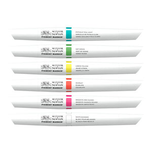 PIGMENT MARKER SET of 6 (Vibrant Tones)