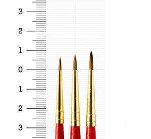 Winsor & Newton High Quality Round Pure Red Sable Value Pack of 3 pc  (No. 00,0,1)