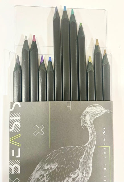 M & G Metallic Color Pencil Set of 12