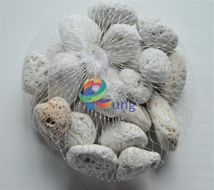 Coral White Rock ( Seashells) (Shells) Craft Misc