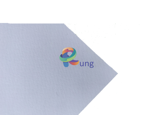 Sp Fine Grain Scholar Paper Sheet 22 X 30 150 Gr ( 10 Sheets )